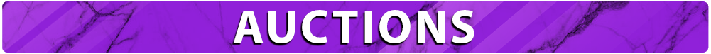 AUCTIONS.png