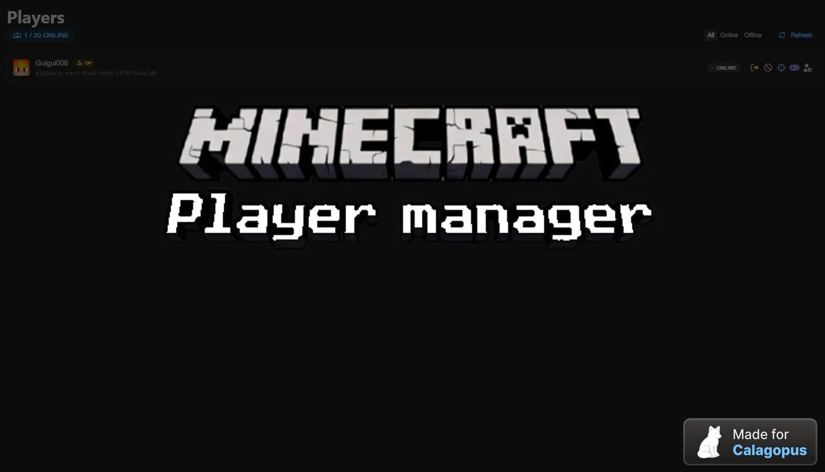 Minecraft Player Manager
