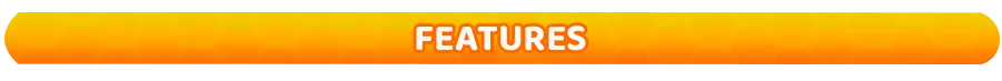 features.png